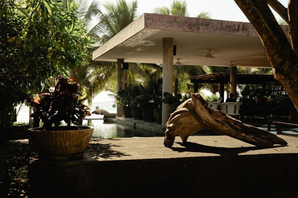 Lo Sereno Casa De Playa Troncones Exterior foto